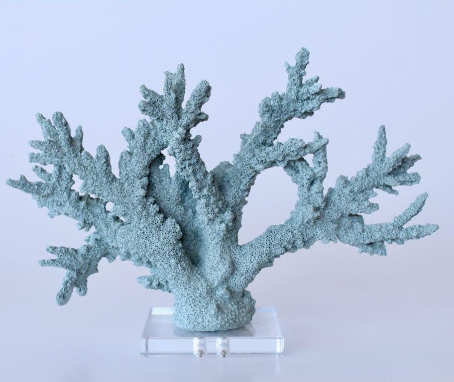 Pale Blue Coral On Perspex Base